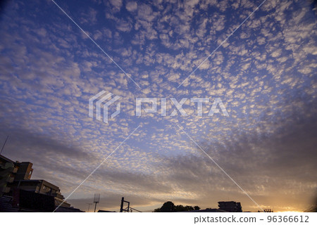 日落時的鯖魚雲 96366612