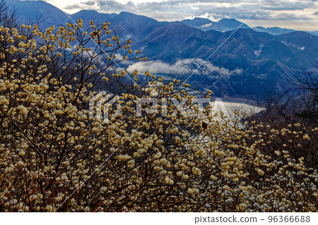 丹澤山脈和三葉山山脊上的三俁社區 丹澤山脈和三葉山山脊上的三俁社區 96366688