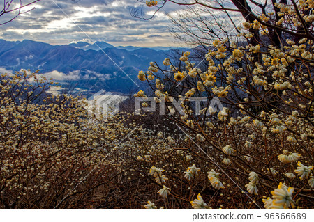丹澤山脈和三葉山山脊上的三俁社區 丹澤山脈和三葉山山脊上的三俁社區 96366689