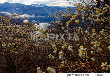 丹澤山脈和三葉山山脊上的三俁社區 丹澤山脈和三葉山山脊上的三俁社區 96366690