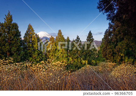 Mt. Fuji and Mt. Mt. Mt. Mt. Mitsuba Mt. Fuji and Mt. Mt. Mt. Mt. Mitsuba 96366705