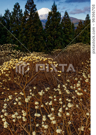 Mt. Fuji and Mt. Mt. Mt. Mt. Mitsuba 96366708