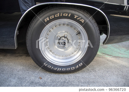 道奇充電器R / T. 道奇充電器R / T. 96366720