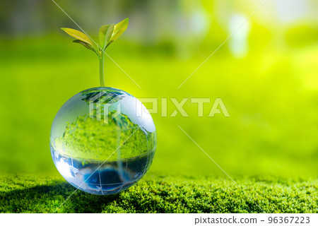 3D illustration Renewable energy concept Earth Day or environmental protection Protect the forests that grow on the ground and help save the planet. 96367223