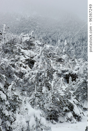 Kita Yokodake (North Yatsugatake) from Tsuboniwa Kita Yokodake (North Yatsugatake) from Tsuboniwa 96367249