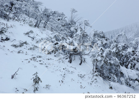 Kita Yokodake (North Yatsugatake) from Tsuboniwa 96367252