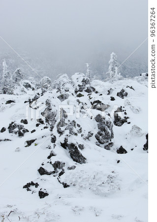 Kita Yokodake (North Yatsugatake) from Tsuboniwa Kita Yokodake (North Yatsugatake) from Tsuboniwa 96367264