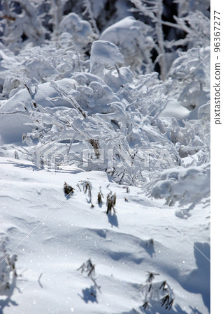 來自坪庭的北橫岳（北八岳） 96367277