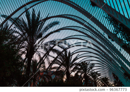 Umbracle modern palm tree park in Valencia, Spain. 96367773