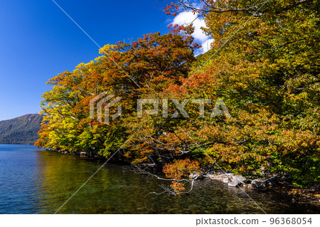 [Aomori Prefecture Lake Towada] Autumn Oasis Lake Towada October 96368054