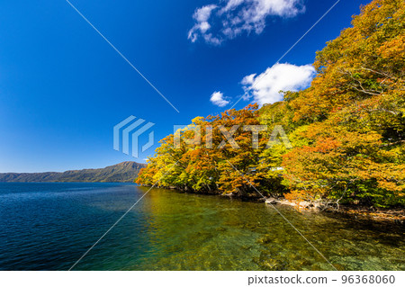 [Aomori Prefecture Lake Towada] Autumn Oasis Lake Towada October 96368060