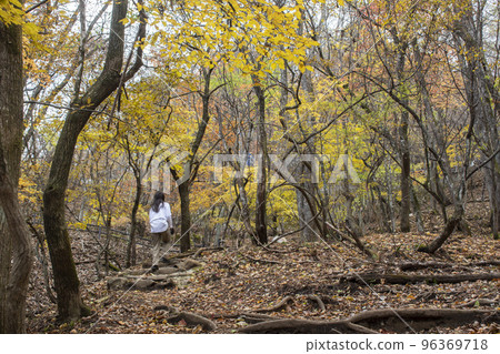 A woman and a dog walking in the mountains where the autumn leaves have begun to change color 96369718