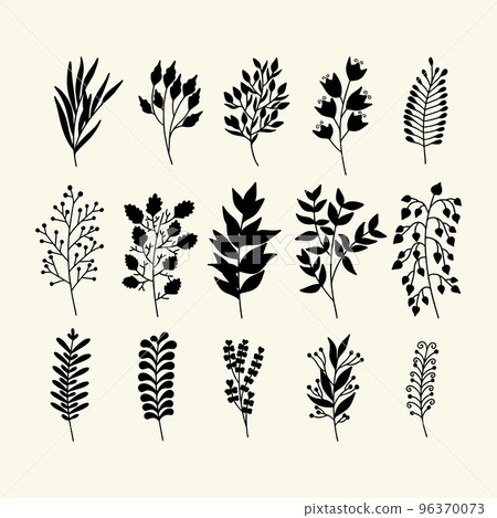 Set of hand drawn plant branches and leaves. Vector doodle style. Set of hand drawn plant branches and leaves. Vector doodle style. 96370073