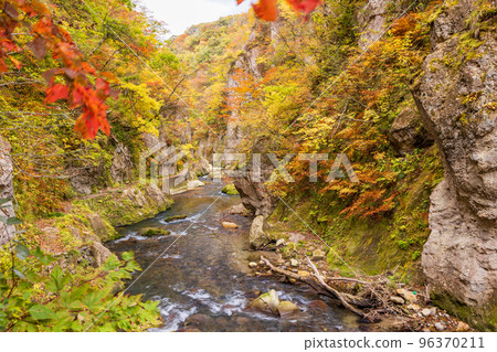 (Miyagi Prefecture) Naruko Gorge, Otani River, Mikaeri Bridge at its best to see autumn leaves 96370211