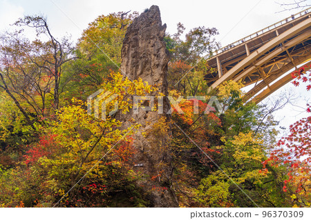 (宮城縣)紅葉盛期的鳴子峽散步道仰望大深澤橋 (宮城縣)紅葉盛期的鳴子峽散步道仰望大深澤橋 96370309
