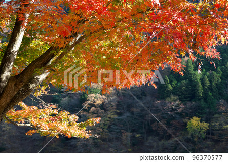 Nishiarakawa Dam Lake Nishiarakawa Dam Lake 96370577