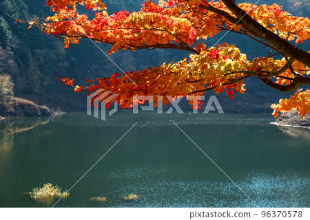 西荒川大壩湖 西荒川大壩湖 96370578