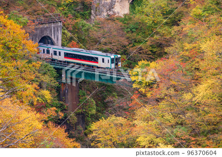 (Miyagi Prefecture) Looking down on the JR line from Naruko Gorge and Ofukasawa Bridge during the peak autumn foliage season 96370604