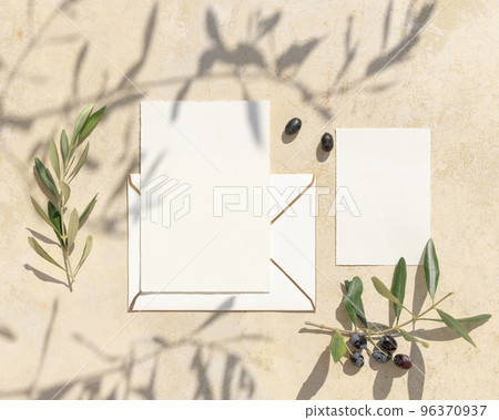 Blank cards on concrete table with olive tree branches and hard shadows, wedding mockup Blank cards on concrete table with olive tree branches and hard shadows, wedding mockup 96370937