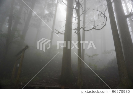 奧多摩大嶽山大竹神社及其周邊 奧多摩大嶽山大竹神社及其周邊 96370980