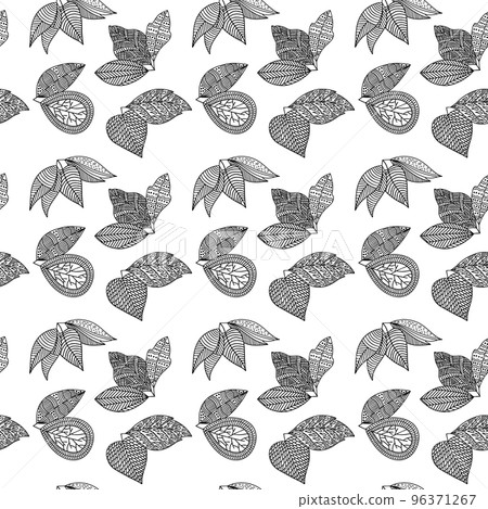 Seamless pattern of hand-drawn plant branches and leaves. Vector floral doodle style for background, textile, design. 96371267