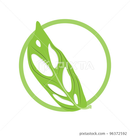 Monstera adansonii Leaf Logo, Green Plant Vector, Tree Vector, Rare Leaf Illustration Monstera adansonii Leaf Logo, Green Plant Vector, Tree Vector, Rare Leaf Illustration 96372592