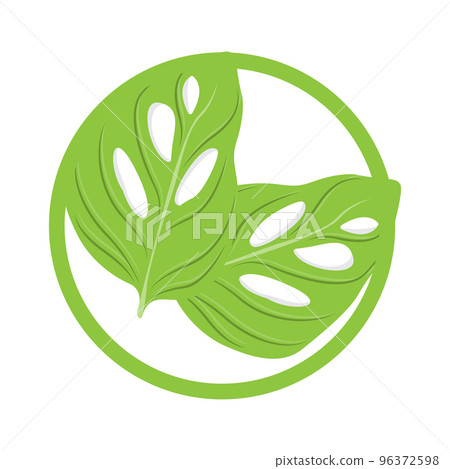 Monstera adansonii Leaf Logo, Green Plant Vector, Tree Vector, Rare Leaf Illustration Monstera adansonii Leaf Logo, Green Plant Vector, Tree Vector, Rare Leaf Illustration 96372598
