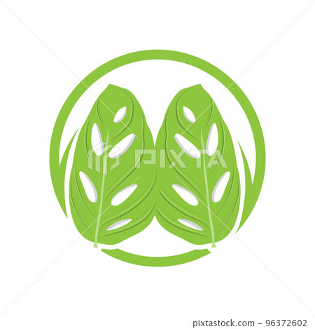 Monstera adansonii Leaf Logo, Green Plant Vector, Tree Vector, Rare Leaf Illustration Monstera adansonii Leaf Logo, Green Plant Vector, Tree Vector, Rare Leaf Illustration 96372602