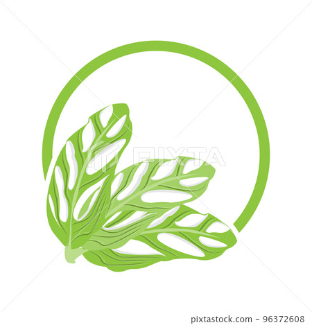 Monstera adansonii Leaf Logo, Green Plant... - Stock Illustration  [96372608] - PIXTA