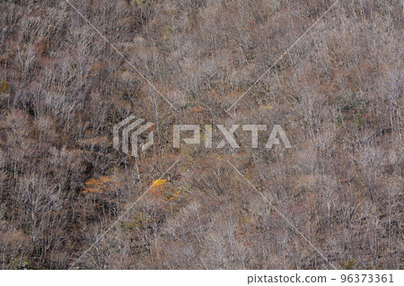 一座冬天干涸的山 一座冬天干涸的山 96373361