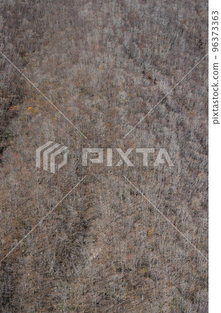 一座冬天干涸的山 一座冬天干涸的山 96373363