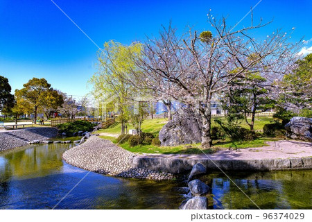 Tsuenofuchi Park Sakura 96374029