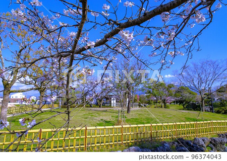 Tsuenofuchi Park Sakura 96374043