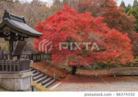 有秋葉的吉野神社 有秋葉的吉野神社 96374350