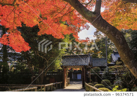 Mt. Yoshino, a world heritage site with autumn foliage in full bloom 96374571