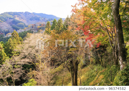 Mt. Yoshino, a world heritage site with autumn foliage in full bloom 96374582
