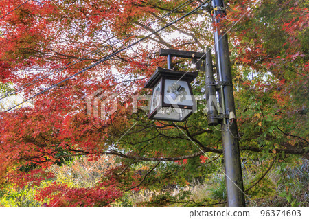紅葉盛開的世界遺產吉野山 96374603
