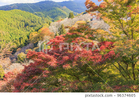 Mt. Yoshino, a world heritage site with autumn foliage in full bloom Mt. Yoshino, a world heritage site with autumn foliage in full bloom 96374605