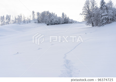 Snow covered field in Switzerland- the perfect weather for hiking 96374725