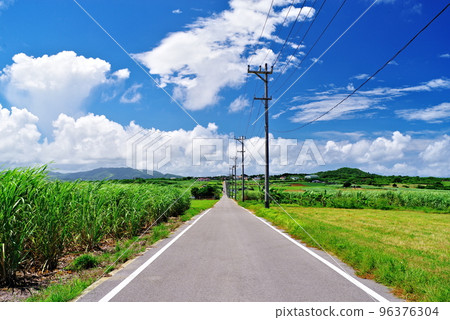 沖繩縣小濱島糖之路 96376304
