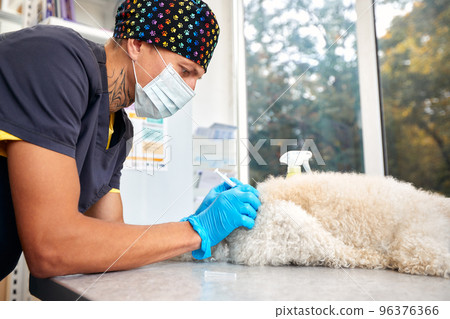 Close-up of male veterinarian giving injection of medication to dog in clinic. Pet vaccination or veterinary treatment concept Close-up of male veterinarian giving injection of medication to dog in clinic. Pet vaccination or veterinary treatment concept 96376366