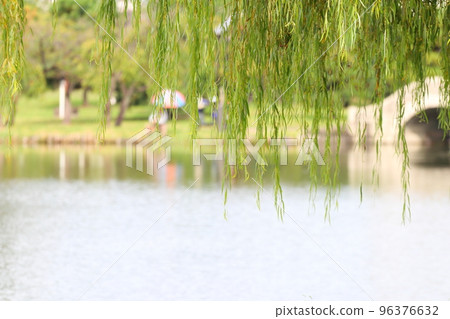 River across the willow water park 96376632