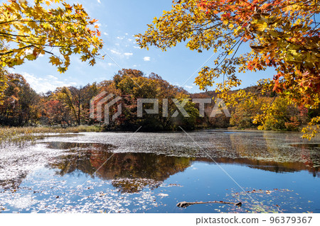 秋季樹葉窗口 秋季樹葉窗口 96379367