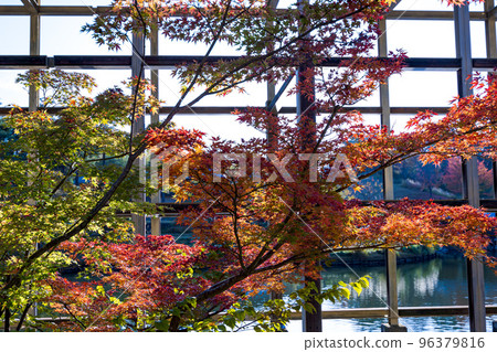 Keihanna Commemorative Park "Suikeien" Momijidani Water surface seen from the gap between autumn leaves and Kangetsukyo Bridge Keihanna Commemorative Park "Suikeien" Momijidani Water surface seen from the gap between autumn leaves and Kangetsukyo Bridge 96379816