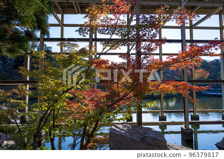 Keihanna Commemorative Park "Suikeien" Momijidani Water surface seen from the gap between autumn leaves and Kangetsukyo Bridge (wide angle) 96379817