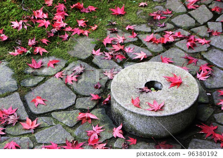 Autumn leaves coloring the precincts Autumn leaves coloring the precincts 96380192