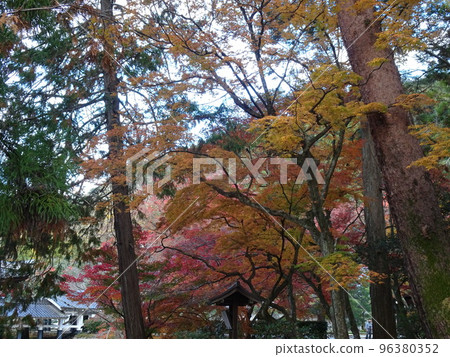 京都的紅葉之旅,南禪寺篇 京都的紅葉之旅,南禪寺篇 96380352