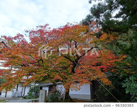 京都的紅葉之旅,南禪寺篇 京都的紅葉之旅,南禪寺篇 96380365