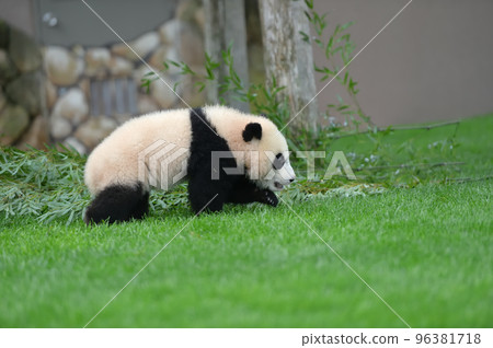 Yuihama running towards Yoshihama Mama 96381718