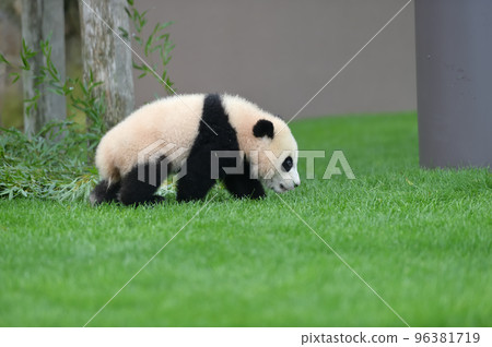 由衣濱奔向吉濱媽媽 96381719